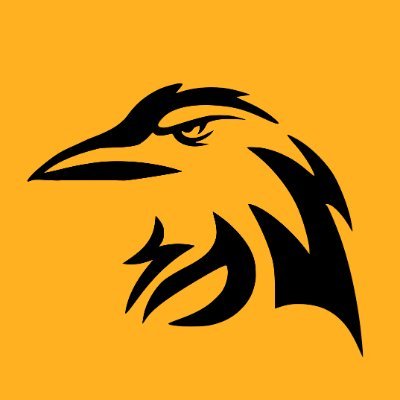 Raven Market